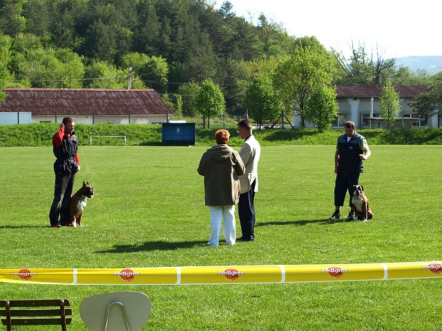 www.atibox.net * www.euroboxer.eu * www.boxergenealogia.eu
